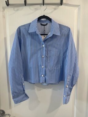 Zara Blue and White Vertical Stripe Button-Front Shirt